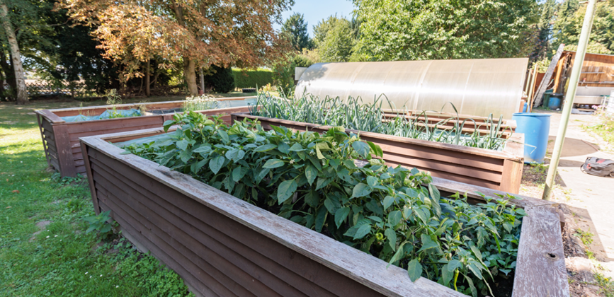 Slider-Sonnenhof9 Außengelände vom Sonnenhof Völksen