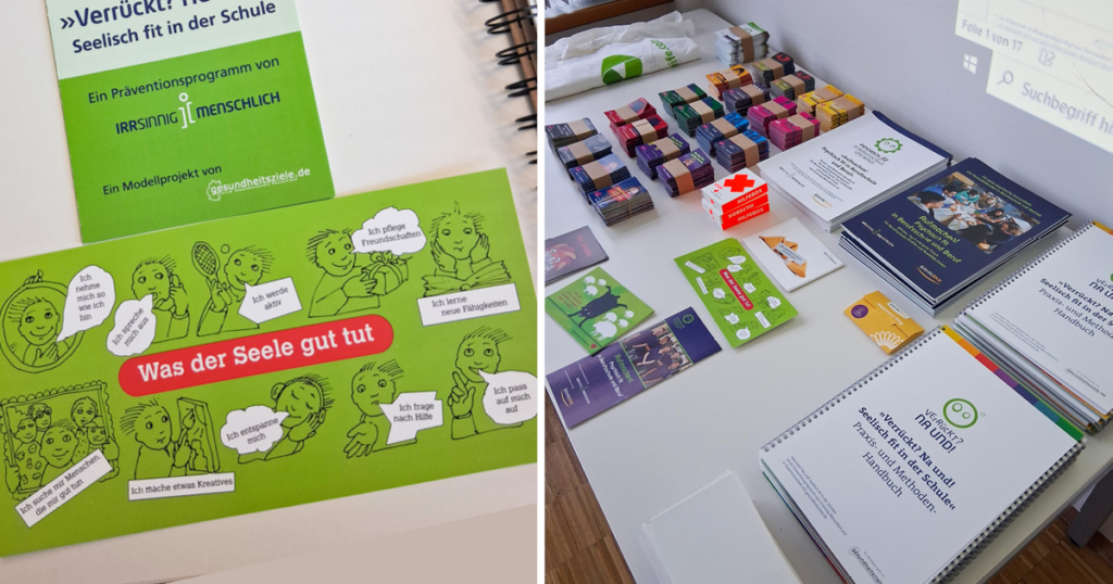 Werbematerial zum Projekt „Verrückt? Na und!“