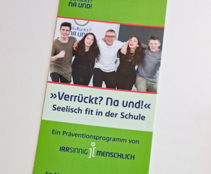 Flyer zum Projekt „Verrückt? Na und!“